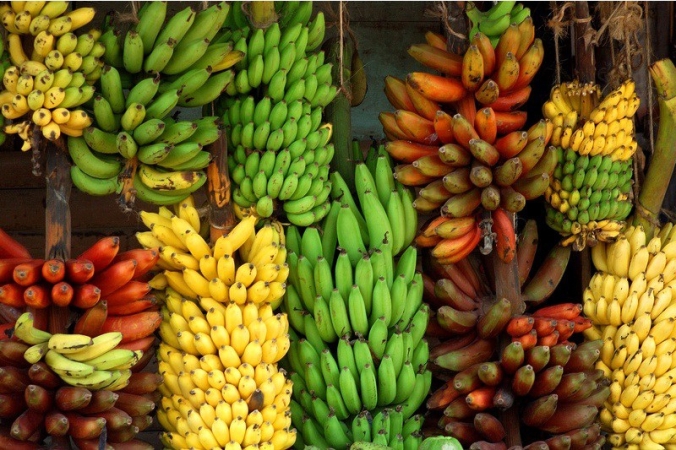 banana-diversity